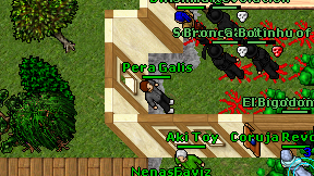 Pera Galis on screen