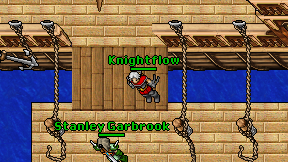 Knightflow on screen