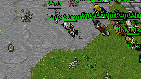 Lady Strummer on screen