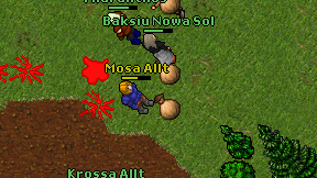 Mosa Allt on screen