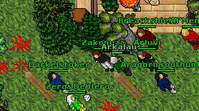 Zakonuza on screen