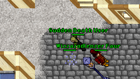 Sudden Death User on screen