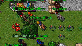 Tewor Fliok on screen