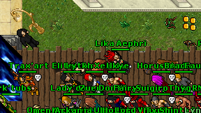 Nelkfyx on screen