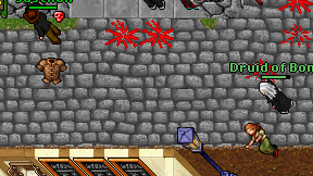 Druid of Bone on screen
