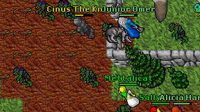 Cinus The Knight on screen