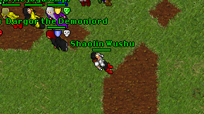 Shaolin Wushu on screen