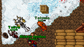 Tatsuia on screen