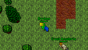 Dydas on screen