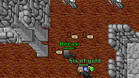 Herasi on screen