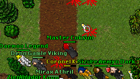 Master Coksun on screen