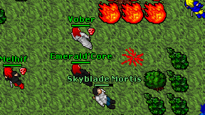 Emerald'Core on screen