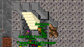 Avenda on screen