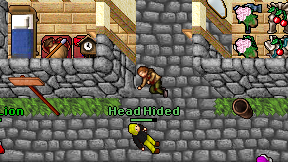 Head Hided on screen