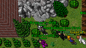Byggare-Bob on screen