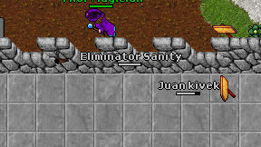 Eliminator Sanity on screen
