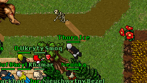 Thorn Ice on screen