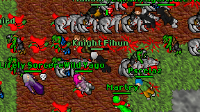 Knight Fihun on screen
