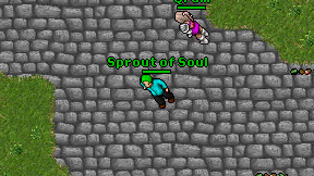 Sprout of Soul on screen