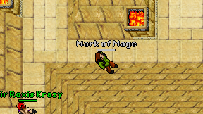 Mark of Mage on screen