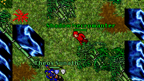 Shadow Necromanter on screen