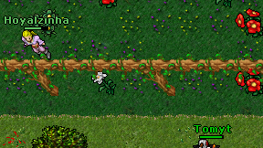 Hoyalzinha on screen