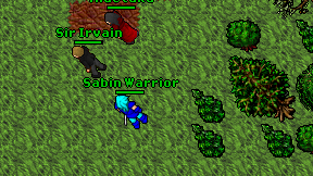 Sabin Warrior on screen