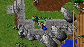Bolo Roxes on screen