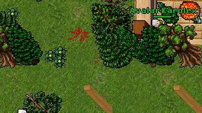 Blod Hit on screen