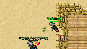 Valtina on screen