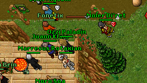 Ozzi Paladin on screen