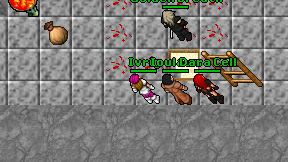 Ivrig on screen