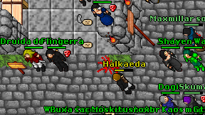 Halkaeda on screen
