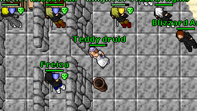 Teddy druid on screen