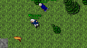 Wizzee on screen