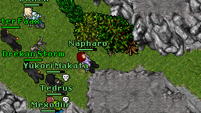 Napharo on screen