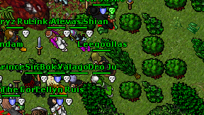 Leegoollas on screen