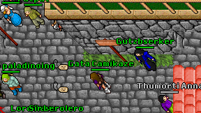 Gata Camikaze on screen