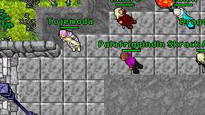 Palafriggindin on screen