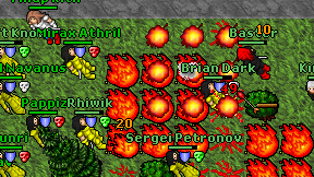 Kinexo on screen