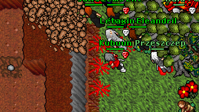 Kubuun on screen