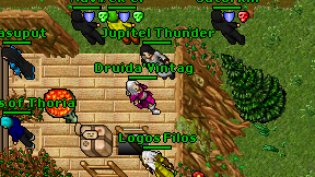 Druida'Vintag on screen