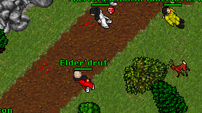 Elder'drut on screen