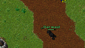 Dar maul on screen