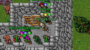 Koles Loos on screen