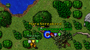 Mara Sereakerd on screen
