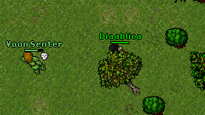 Diaablica on screen