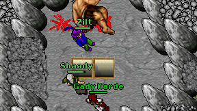 Zilt on screen