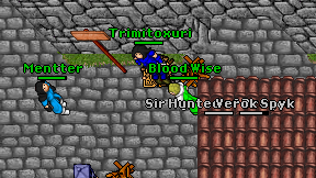 Blood Wise on screen