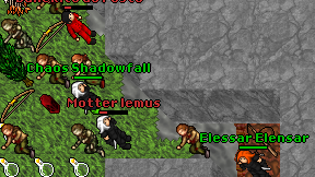 Chaos Shadowfall on screen